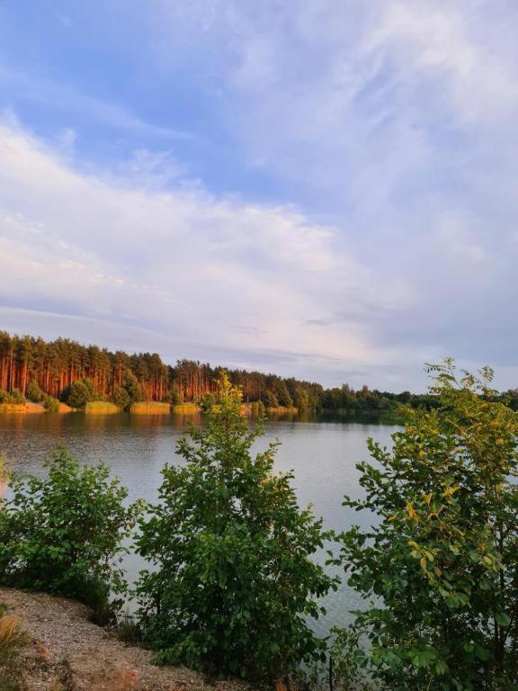Agroturystyka U Siwego Rokitki  Exteriör bild