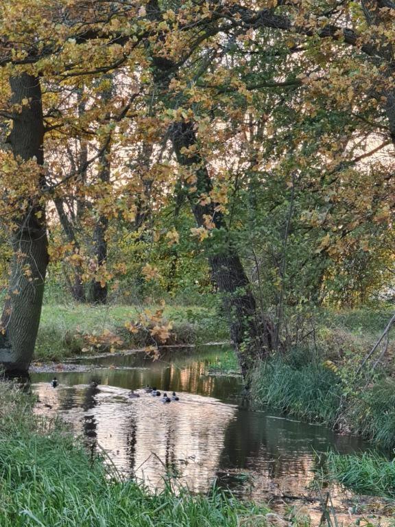 Agroturystyka U Siwego Rokitki  Exteriör bild